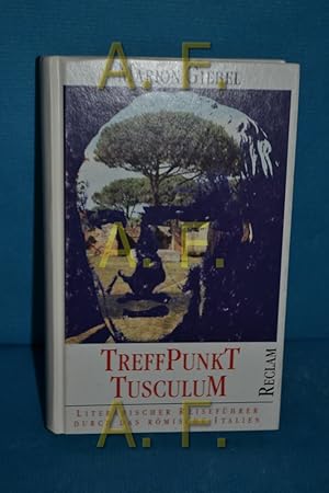 Seller image for Treffpunkt Tusculum : literarischer Reisefhrer durch das antike Italien for sale by Antiquarische Fundgrube e.U.