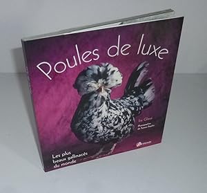 Seller image for Poules de luxe, photographies de Tamara Staples. Artmis ditions. 2005. for sale by Mesnard - Comptoir du Livre Ancien