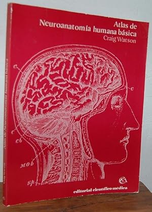 Imagen del vendedor de ATLAS DE NEUROANATOMA HUMANA BSICA a la venta por EL RINCN ESCRITO