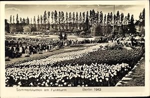 Bild des Verkufers fr Ansichtskarte / Postkarte Berlin Charlottenburg Westend, Sommerblumen am Funkturm zum Verkauf von akpool GmbH