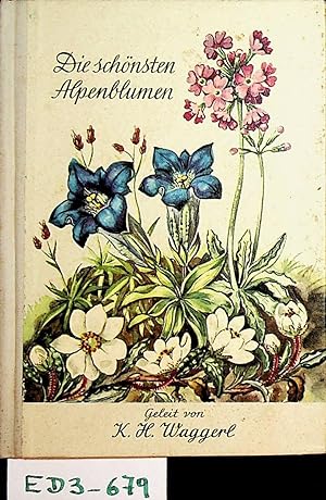 Seller image for Die schnsten Alpenblumen. Aquarelle von Mila Lippmann-Pawlowski for sale by ANTIQUARIAT.WIEN Fine Books & Prints