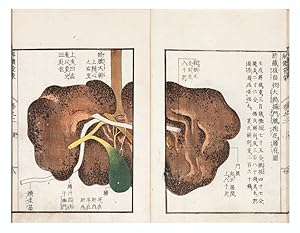 Image du vendeur pour Kaitai hatsumo 解"    [trans: Explanation of Human Anatomy] mis en vente par Jonathan A. Hill, Bookseller Inc.