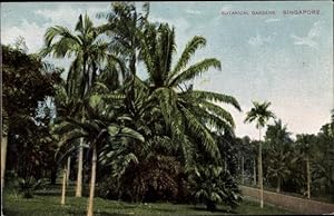 Bild des Verkufers fr Ansichtskarte / Postkarte Singapur, Botanical Gardens zum Verkauf von akpool GmbH