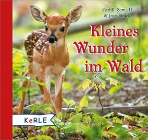 Seller image for Kleines Wunder im Wald for sale by AHA-BUCH