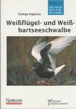 Bild des Verkufers fr Weiflgel- und Weibartseeschwalbe. zum Verkauf von Buchversand Joachim Neumann