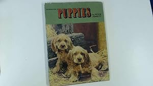 Imagen del vendedor de Introducing Puppies a la venta por Goldstone Rare Books