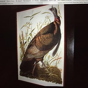"WILD TURKEY" from Bien facsimile ed. of Audubon's The Birds of America; Melagris Gallopavo Linn....
