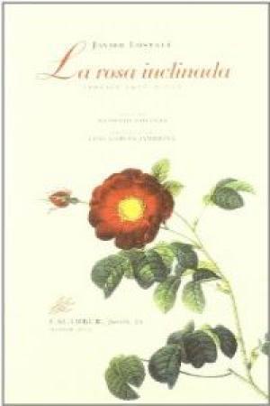 Bild des Verkufers fr LA ROSA INCLINADA (POESIA 1976-2001) zum Verkauf von Librovicios