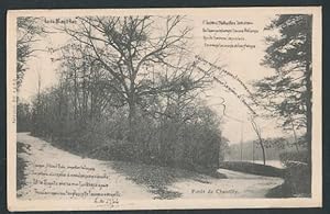 Seiden-Carte postale Chantilly, Foret de Chantilly