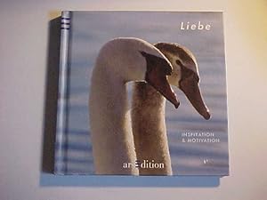 Imagen del vendedor de Liebe : Inspiration & Motivation. a la venta por Versandantiquariat Ingo Lutter