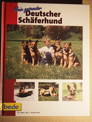 Immagine del venditore per Mein gesunder Hund ; 3 Mein gesunder Deutscher Schferhund. venduto da Versandantiquariat Ingo Lutter