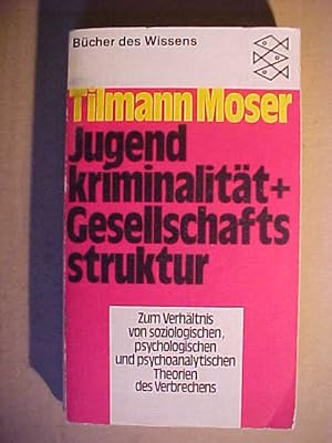 Fischer-Taschenbücher ; 6158 : Bücher d. Wissens Jugendkriminalität und Gesellschaftsstruktur : z...