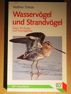 Wasservögel und Strandvögel : Arten der Küsten und Feuchtgebiete.