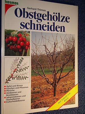 Obstgehölze schneiden.