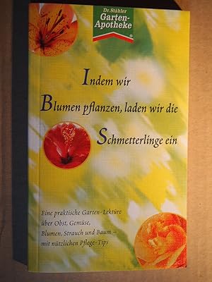 Indem wir Blumen pflanzen, laden wir die Schmetterlinge ein.