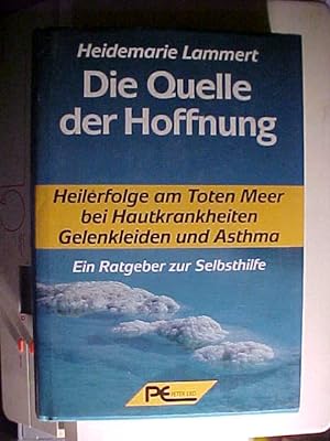 Seller image for Die Quelle der Hoffnung. for sale by Versandantiquariat Ingo Lutter