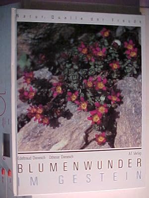 Bild des Verkufers fr Natur: Quelle der Freude Blumenwunder im Gestein. zum Verkauf von Versandantiquariat Ingo Lutter