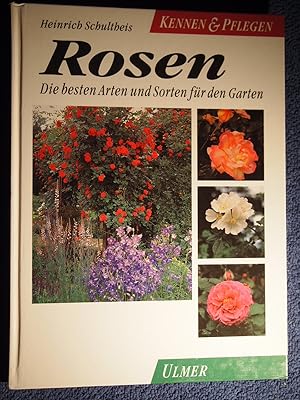 Rosen. Die besten Arten und Sorten für den Garten.