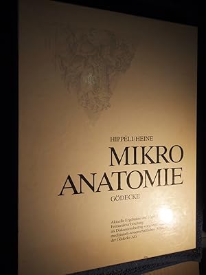 Mikro Anatomie - Aktuelle Ergebnisse und Hypothesen der Feinstrukturforschung als Diskussionsbeit...