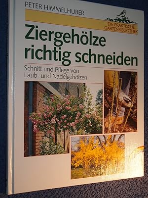 Bild des Verkufers fr Ziergehlze richtig schneiden. Schnitt und Pflege von Laub- und Nadelgehlzen. zum Verkauf von Versandantiquariat Ingo Lutter