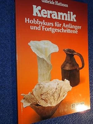 Bild des Verkufers fr Keramik : Hobbykurs fr Anfnger u. Fortgeschrittene. zum Verkauf von Versandantiquariat Ingo Lutter