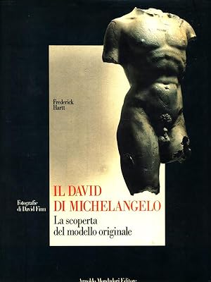 Il David di Michelangelo. La scoperta del modello originale