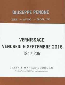 Seller image for Giuseppe Penone: Ebbi - Avro' - Non Ho. [Published on the occasion of the exhibition at Galerie Marian Goodman, 9 September - 22 October, 2016.]. for sale by Wittenborn Art Books