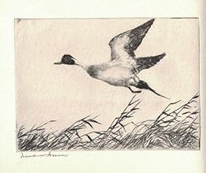 Etchings and Drypoints by Frank W. Benson. Volume Four. With an original signed etching.