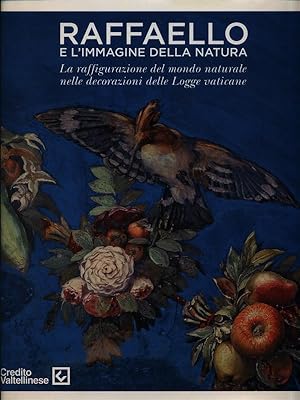 Bild des Verkufers fr Raffaello e l'immagine della natura zum Verkauf von Librodifaccia
