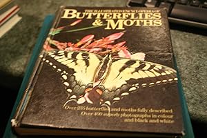 Seller image for The illustrated encyclopedia of butterflies & moths for sale by SGOIS