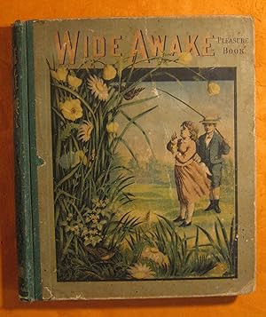 Seller image for Wide Awake Pleasure Book for sale by Pistil Books Online, IOBA