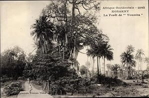 Ansichtskarte / Postkarte Conakry Guinea, La Foret de Toumba, Blick in den Wald mit tropischen Bä...