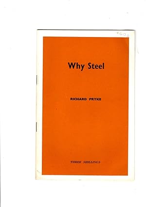 Bild des Verkufers fr Why Steel: Fabian Research Series No. 248 zum Verkauf von Gwyn Tudur Davies