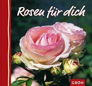 Rosen für dich