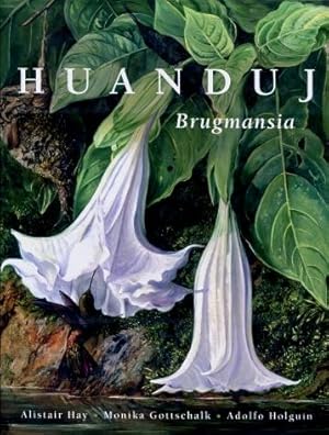 Huanduj : Brugmansia