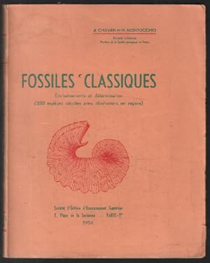 Fossiles classiques