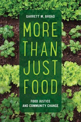 Imagen del vendedor de More Than Just Food: Food Justice and Community Change (Paperback or Softback) a la venta por BargainBookStores
