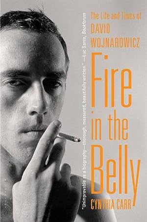 Seller image for Fire in the Belly: The Life and Times of David Wojnarowicz (Paperback) for sale by Grand Eagle Retail