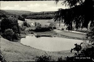 Bild des Verkufers fr Ansichtskarte / Postkarte Schwarzenborn in Hessen, Pension Zur Burgruine Wallenstein, Teich - Inh.: M. Drfler zum Verkauf von akpool GmbH