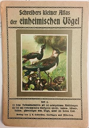 Schreibers kleiner Atlas der einheimischen Vögel (Heft 2)