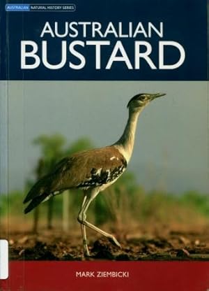 Australian Bustard