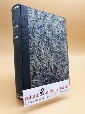 Imagen del vendedor de Einleitung in das Neue Testament. Leipzig, Hinrichs, a la venta por Roland Antiquariat UG haftungsbeschrnkt