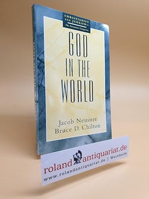 Seller image for God in the World. for sale by Roland Antiquariat UG haftungsbeschrnkt