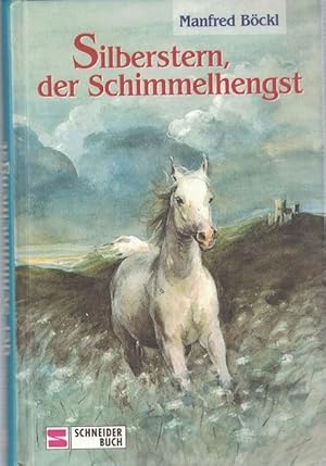 Seller image for Silberstern, der Schimmelhengst. for sale by La Librera, Iberoamerikan. Buchhandlung