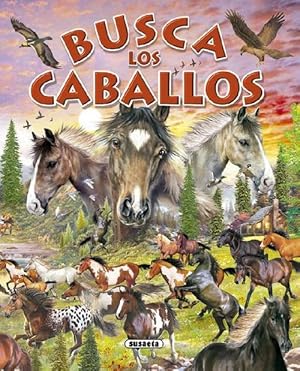 Imagen del vendedor de Busca los caballos y ponis. Edad: 6+. a la venta por La Librera, Iberoamerikan. Buchhandlung