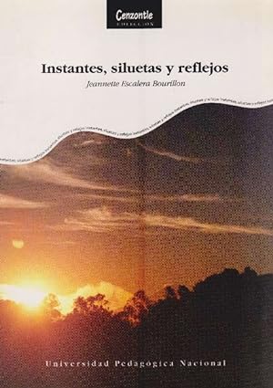 Imagen del vendedor de Instantes, siluetas y reflejos. a la venta por La Librería, Iberoamerikan. Buchhandlung