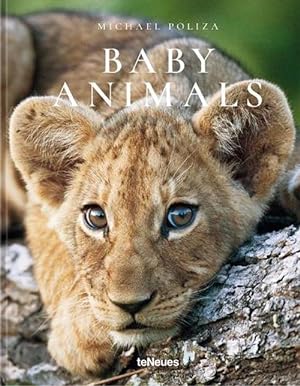 Seller image for Baby Animals (Hardcover) for sale by Grand Eagle Retail