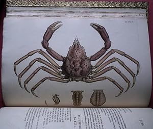 Bild des Verkufers fr Malacostraca Podophthalmata Britanniae; Or, Descriptions of Such British Species of the Linnean Genus Cancer as Have Their Eyes Elevated on Footstalks. Illustrated with Figures of All the Species, By JAMES SOWERBY. Continued and Completed, with a New Generic and Specific Index to the Whole, and Seven New Plates, By GEORGE BRETTINGHAM SOWERBY, F.L.S. zum Verkauf von Patrick Pollak Rare Books ABA ILAB