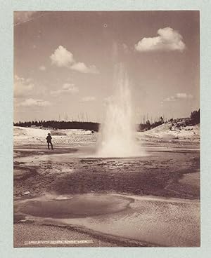 Seller image for Minute Geyser, Norris' Basin for sale by James Arsenault & Company, ABAA