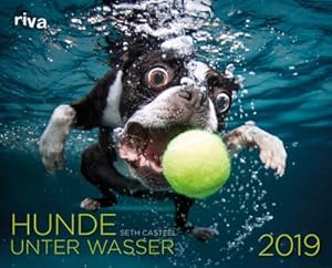 Imagen del vendedor de Hunde unter Wasser 2019 : Wandkalender a la venta por AHA-BUCH GmbH
